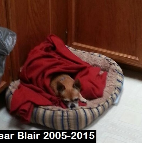 Bear Blair .2005-2015